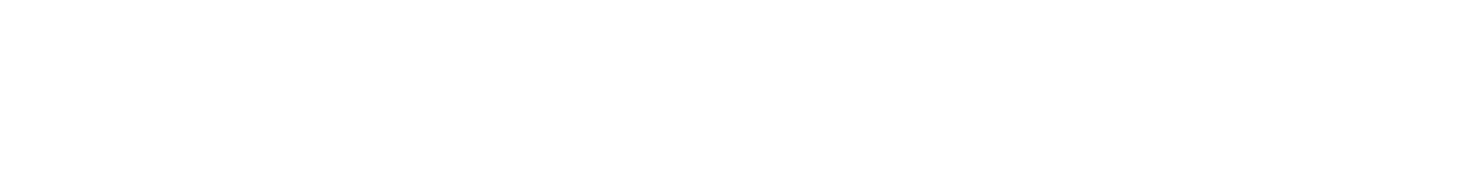 ANDGATE PROMIS